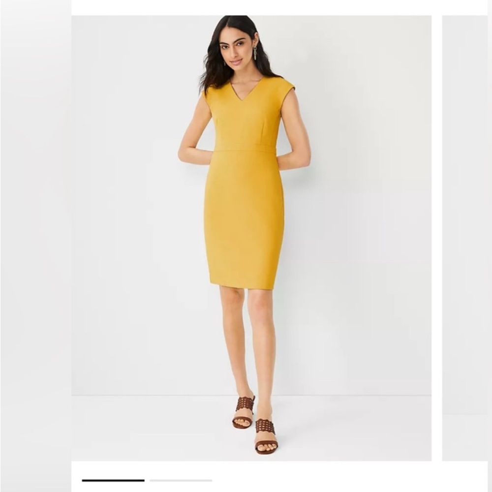 Ann Taylor V-Neck Cap Sleeve Sheath Dress NWT